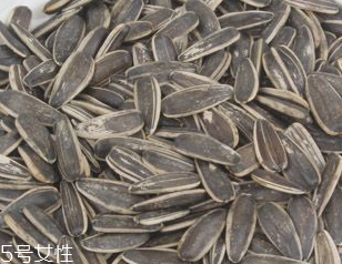 葵瓜子是什么时候引进的,葵瓜子是什么