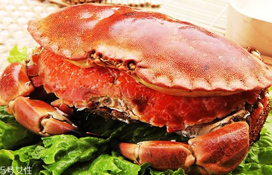 面包蟹,面包蟹哪里出产 面包蟹,面包蟹哪里出产