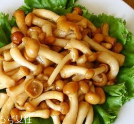 新鲜滑子菇的禁忌,滑子菇的功效和作用禁忌