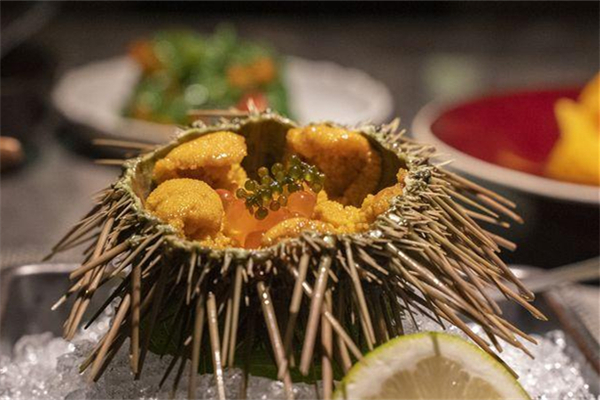 海胆什么季节吃最好吃,海胆什么季节吃比较好 海胆什么季节吃最好吃,海胆什么季节吃比较好