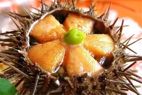 海胆黄是海胆的什么部位,海胆黄是海胆的哪个部位 海胆黄是海胆的什么部位,海胆黄是海胆的哪个部位