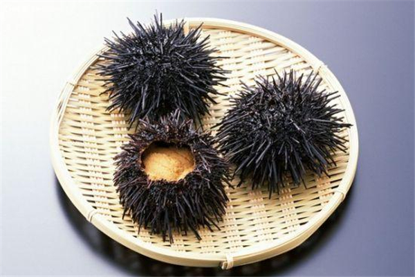 海胆是动物还是植物?,海胆是植物吗