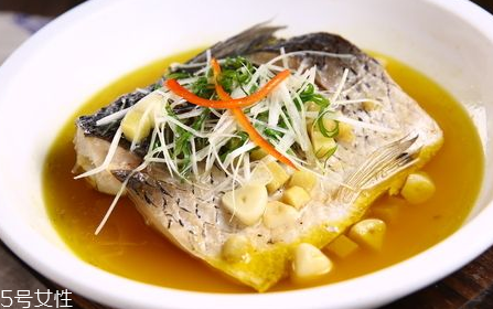 青鱼的寿命是多长时间,青鳉鱼的寿命