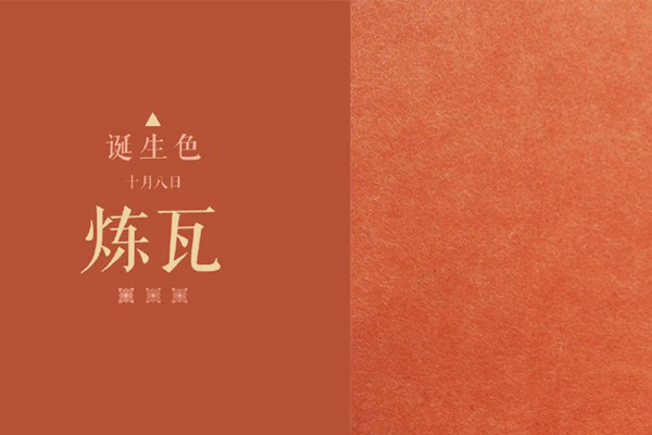 黄皮适合什么色调,巧克力色适合黄皮吗