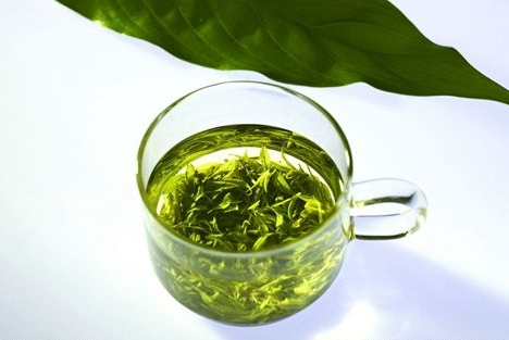 日照绿茶采摘时间,绿茶采摘时间最好