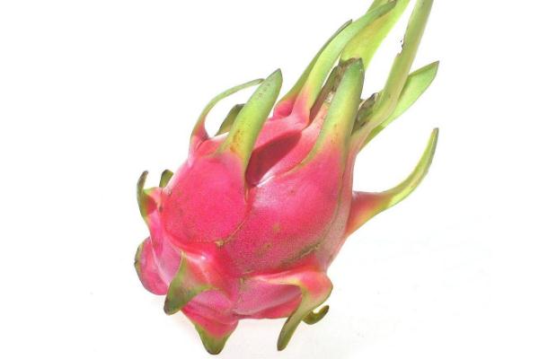 火龙果有减肥的功效吗?,火龙果能减肥不 火龙果有减肥的功效吗?,火龙果能减肥不