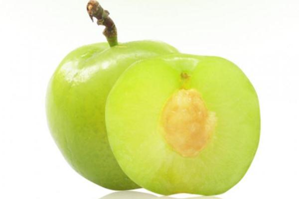 李子可以和橘子一起吃吗?,橘子和李子能一起吃吗?