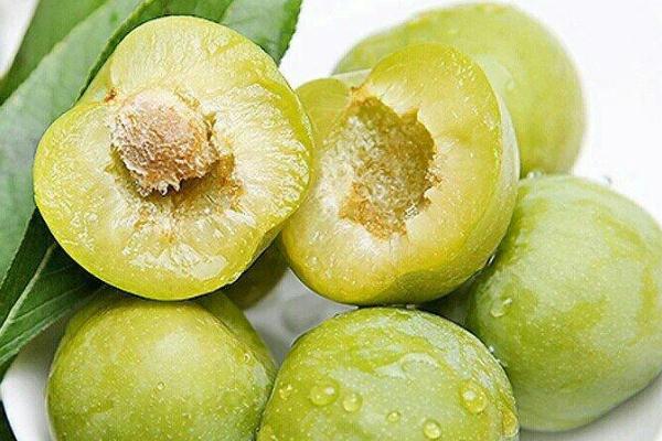 李子的热量高不高?,李子热量高吗