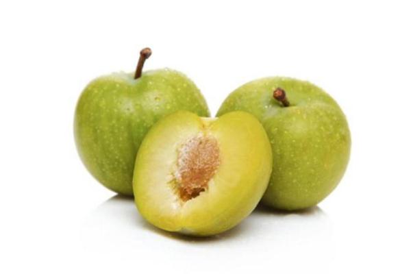 李子是什么季节水果,李子是什么季节成熟的水果 李子是什么季节水果,李子是什么季节成熟的水果