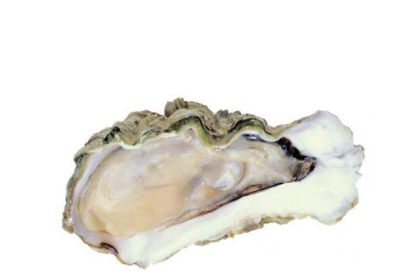 生蚝要吐沙吗,生蚝要吐沙子吗