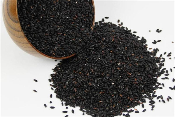 黑米小孩能吃吗,小孩子可以吃黑米吗