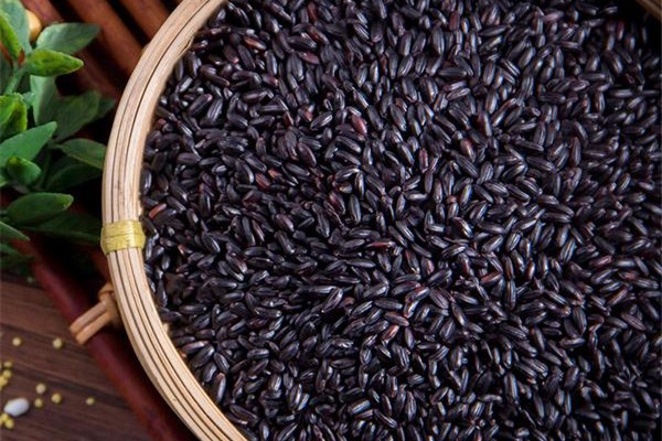 黑米含糖吗?血糖高的人能吃吗,小米和黑米含糖吗