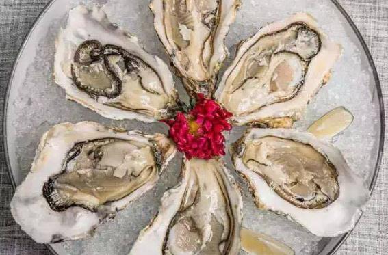 生蚝可以生吃吗?,生蚝可以生吃不?