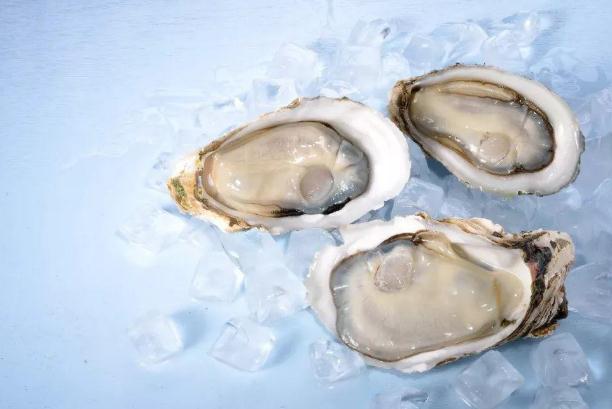 生蚝的营养价值及功效和作用,如何吃生蚝的正确方法