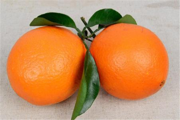 哪里的橙子最出名,橙子和橘子的区别功效是什么