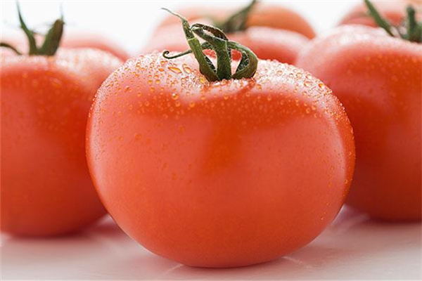 西红柿有黑斑怎么回事,西红柿长黑斑 西红柿有黑斑怎么回事,西红柿长黑斑