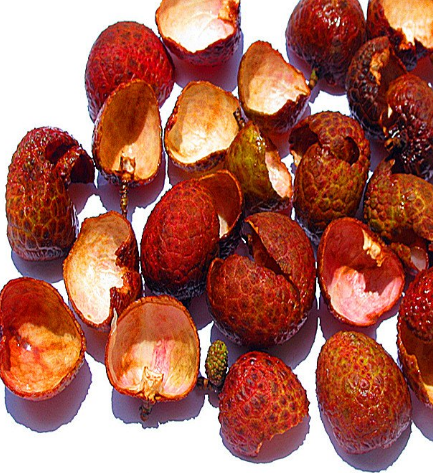 荔枝壳能去火吗,荔枝壳的禁忌