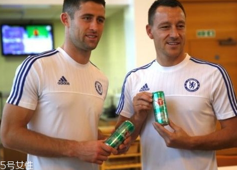 瓜拉纳是什么东西,瓜拉纳的作用