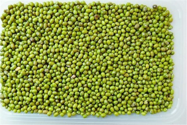 真空绿豆保质期多久,绿豆保质期多久?一直放冷藏