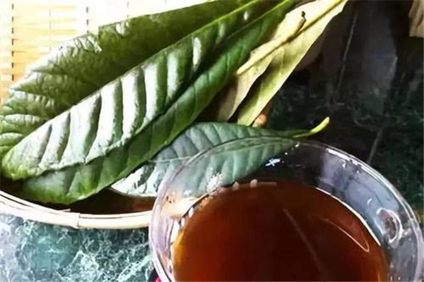 枇杷叶对胃部有刺激吗,枇杷对胃有影响吗 枇杷叶对胃部有刺激吗,枇杷对胃有影响吗