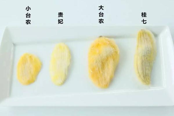 芒果核可以泡水喝吗,芒果核泡水喝有什么用