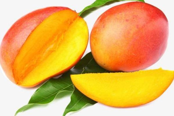 吃芒果要不要剥皮,芒果需要剥皮吗 吃芒果要不要剥皮,芒果需要剥皮吗