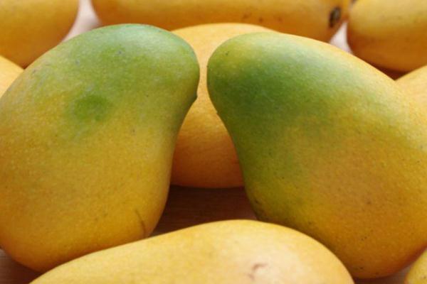 芒果怎么吃不脏手?,怎样吃芒果方便,而且不会把手弄脏