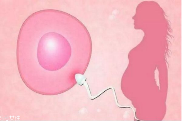 输卵管堵塞了还能排卵出来吗?,输卵管堵塞还可以排卵吗?