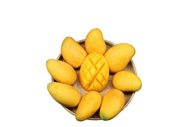 芒果减肥法,吃芒果有助于减肥吗?