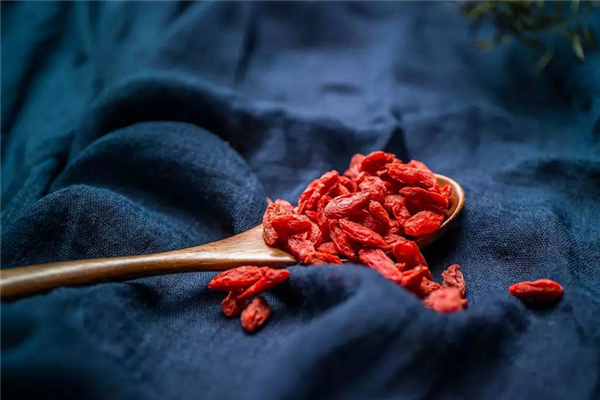 枸杞能吃新鲜的吗,新鲜枸杞可以吃吗有什么禁忌