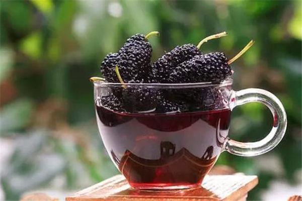 桑葚酒养生吗,桑葚酒好处