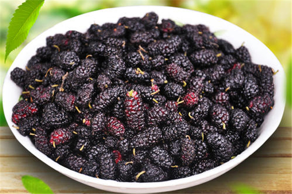 桑葚含糖高吗,桑葚含糖高吗糖尿病能不能吃