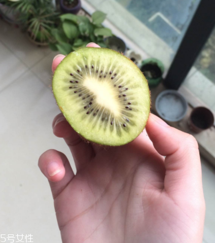 绿心猕猴桃怎么样才算熟,绿心猕猴桃怎么样