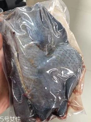 乌鸡什么样子,乌鸡怎么养殖