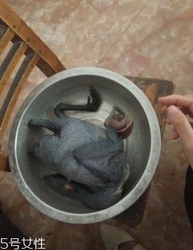 菠萝蜜吃多了湿气重吗,吃菠萝蜜有什么好处和功效