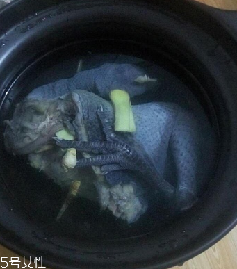 哪里的菠萝蜜最好吃?,菠萝蜜的籽可以吃吗