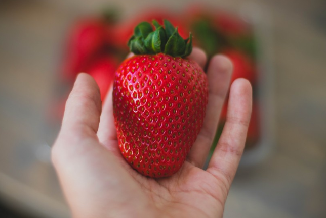 草莓糖尿病可以吃吗?,草莓糖尿病能吃吗