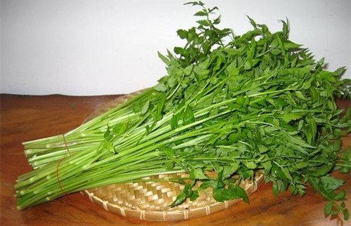 芹菜的功效和作用减肥,芹菜籽的作用和功效