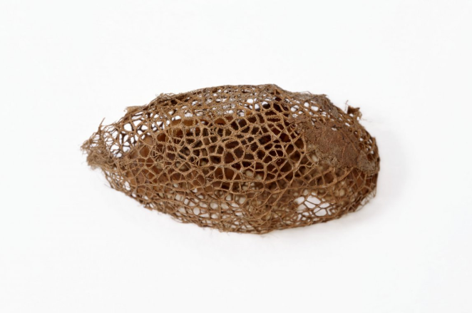 马蜂窝泡酒的功效和作用,马蜂马蜂窝泡酒有什么功效