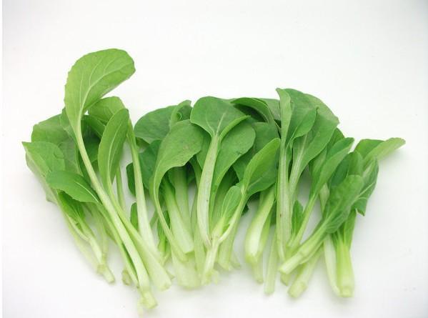 青菜和鸡毛菜的区别,小白菜和鸡毛菜的区别