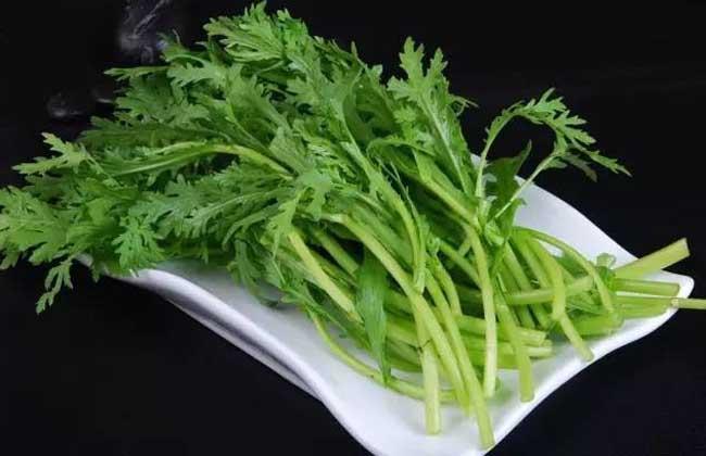 苦菊和茼蒿的区别,苦菊和茼蒿的区别图