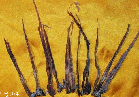 蛇鞭可以和什么泡酒,蛇鞭酒怎么泡