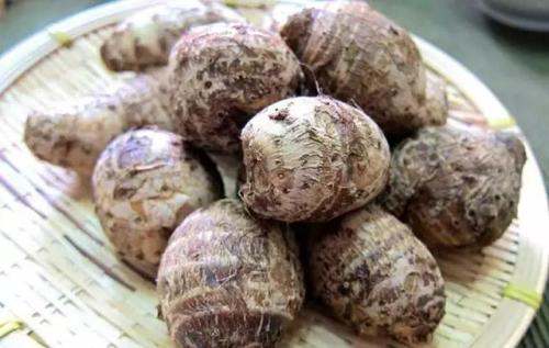 芋子和芋头的区别,芋子和芋头的区别图片