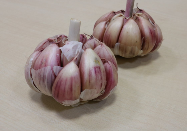 每天吃多少大蒜合适?,每天吃多少大蒜好