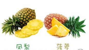 凤梨和菠萝是什么关系,凤梨就是菠萝对吗