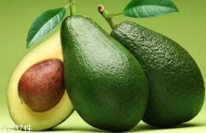 酪梨的营养价值 功效 成分,酪梨的营养价值