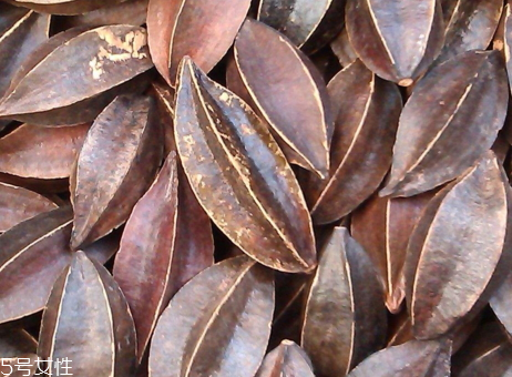 使君子怎么吃可以驱虫,使君子怎么吃