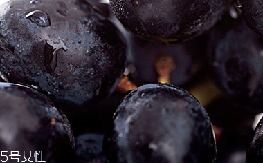 黑提和葡萄的区别,黑提是葡萄吗