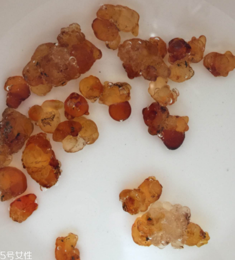 桃胶怎么样才算煮熟,桃胶怎么样吃 桃胶怎么样才算煮熟,桃胶怎么样吃