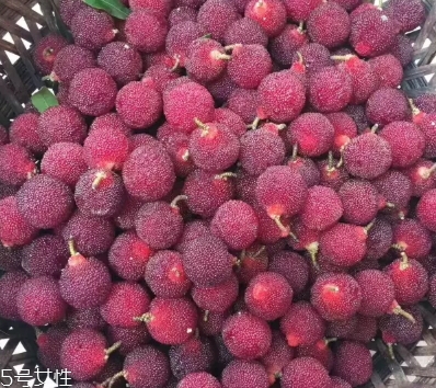 乌酥杨梅的产地,杨梅红为什么这么贵